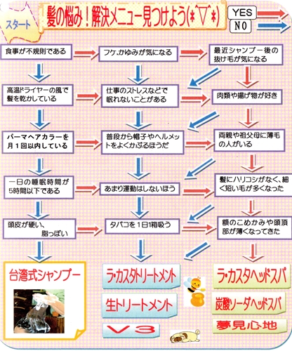 f解決チャート_R.jpg
